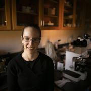 Gazette Article Featuring the research of EPS Postdoc Elizabeth Sibert ES